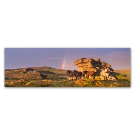 Adam Burton 'Visions Of Dartmoor' Canvas Art,10x32